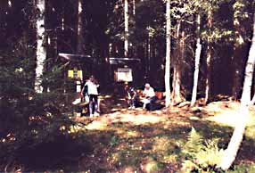 Waldspaziergang